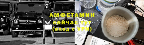 шишки Абаза