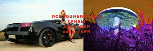 а пвп мука Няндома