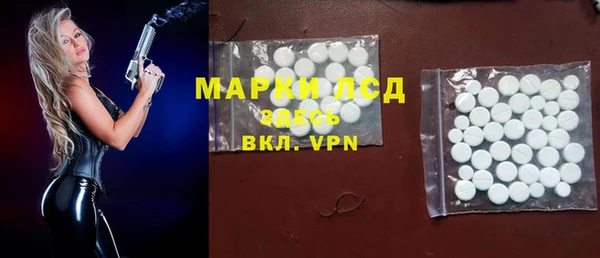 шишки Абаза