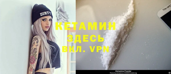 шишки Абаза