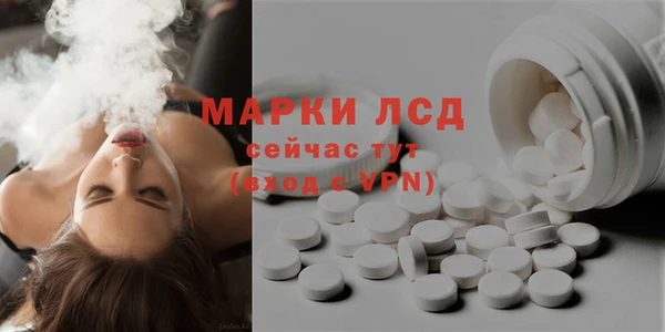 шишки Абаза