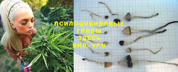 молекула духа Остров