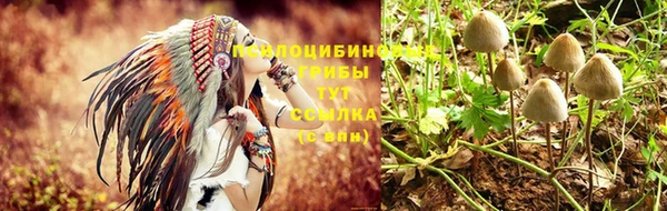тгк Алексеевка