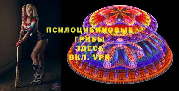 винт Алзамай