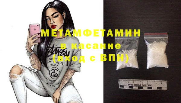 шишки Абаза